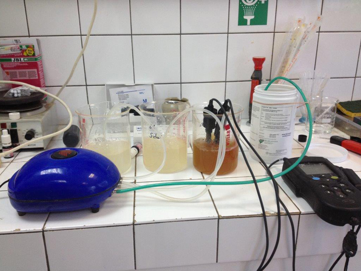 Micro-organismes-Test-nitrification_3