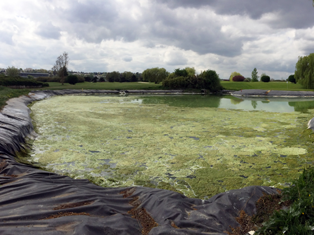 Plan-d-eau-artemisia-environnement-1